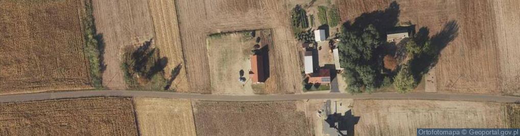 Zdjęcie satelitarne Skaszyn ul.
