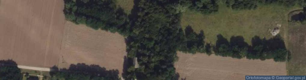 Zdjęcie satelitarne Skęczniew ul.
