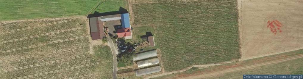 Zdjęcie satelitarne Skibice ul.