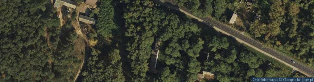 Zdjęcie satelitarne Skoki Duże ul.