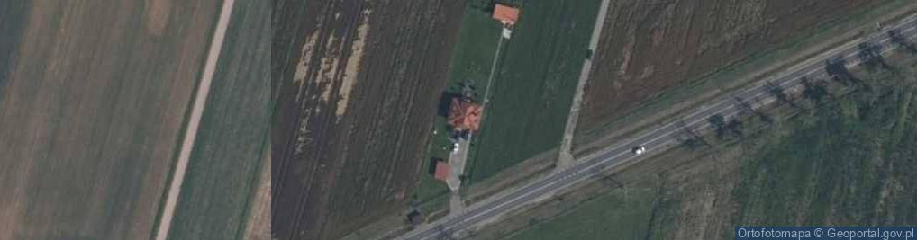 Zdjęcie satelitarne Skrzeszew E ul.
