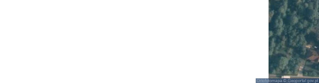 Zdjęcie satelitarne Skrzeszew ul.