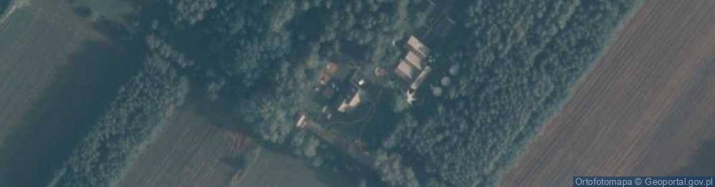 Zdjęcie satelitarne Skrzeszew ul.