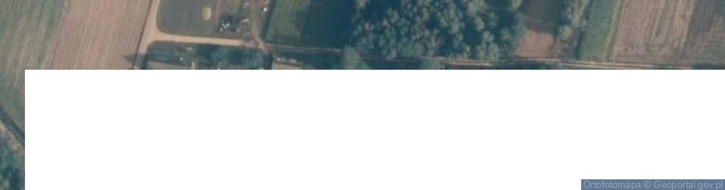 Zdjęcie satelitarne Skrzeszew ul.