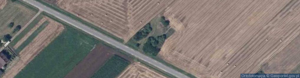 Zdjęcie satelitarne Skrzeszewy ul.