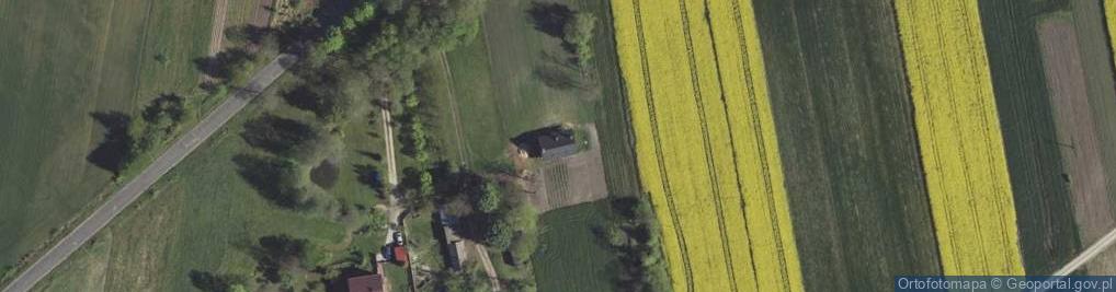 Zdjęcie satelitarne Skrzyniec-Kolonia ul.