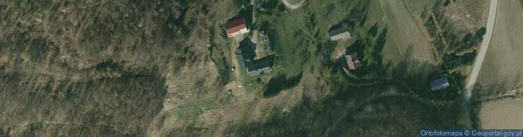Zdjęcie satelitarne Skurowa ul.