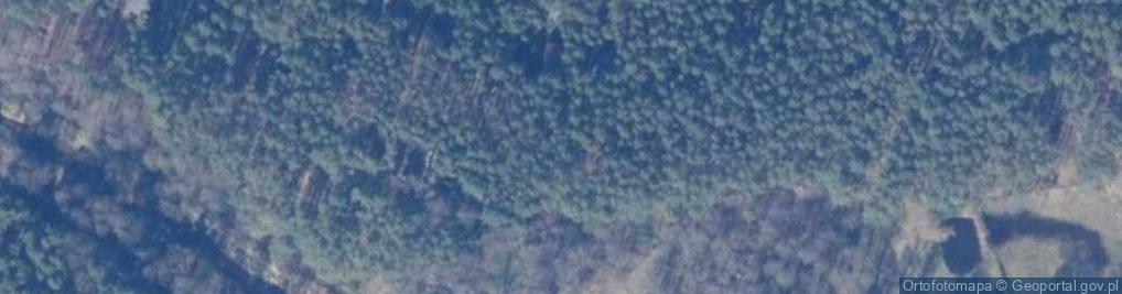 Zdjęcie satelitarne Słowików ul.