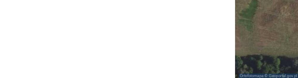 Zdjęcie satelitarne Ślepowrony ul.