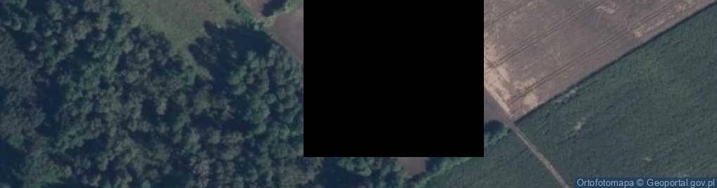 Zdjęcie satelitarne Smorzewo ul.