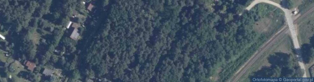 Zdjęcie satelitarne Spacerowa ul.