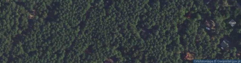 Zdjęcie satelitarne Spacerowa ul.