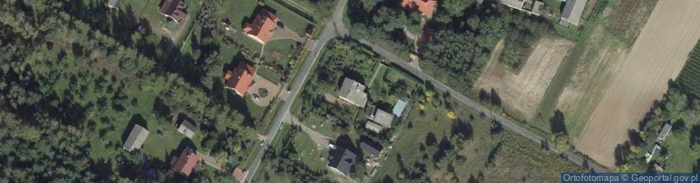 Zdjęcie satelitarne Spiczyn ul.