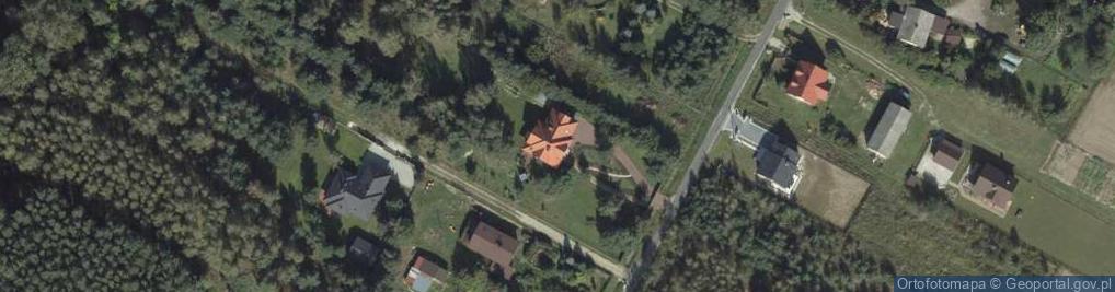 Zdjęcie satelitarne Spiczyn ul.