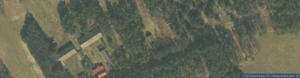 Zdjęcie satelitarne Spycimierz-Kolonia ul.
