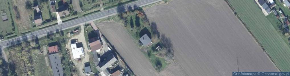 Zdjęcie satelitarne Śremska ul.