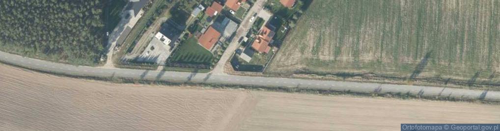 Zdjęcie satelitarne Śremska ul.