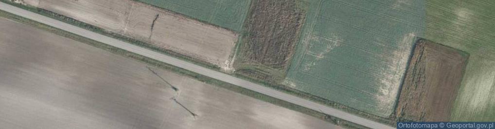 Zdjęcie satelitarne Srebrzyszcze ul.