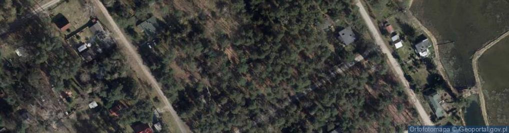 Zdjęcie satelitarne Śródleśna ul.