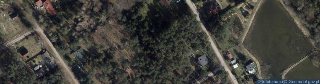 Zdjęcie satelitarne Śródleśna ul.