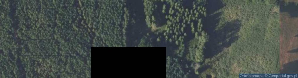 Zdjęcie satelitarne Stępnie ul.