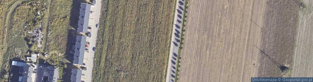 Zdjęcie satelitarne Strzykulska ul.