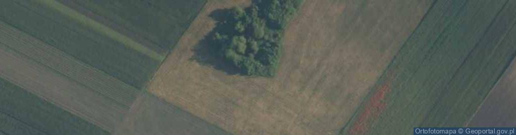 Zdjęcie satelitarne Stara Zagość ul.