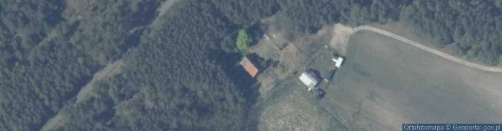 Zdjęcie satelitarne Stare Leśno ul.