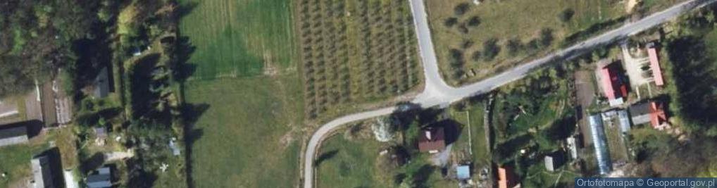 Zdjęcie satelitarne Stare Orzechowo ul.