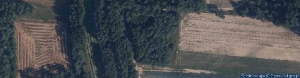 Zdjęcie satelitarne Stare Radzikowo ul.