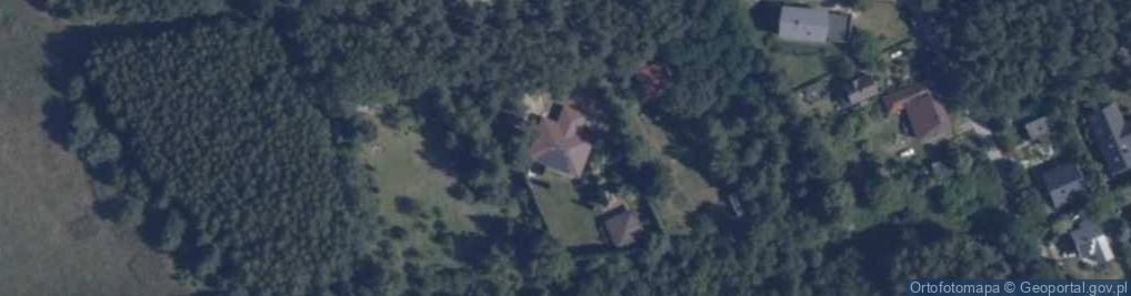 Zdjęcie satelitarne Stare Skoszewy ul.