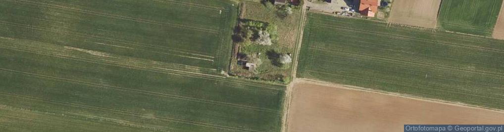 Zdjęcie satelitarne Starobrzeska Kolonia ul.