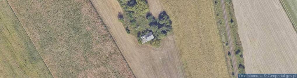 Zdjęcie satelitarne Starorypin Rządowy ul.