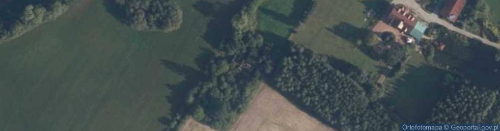 Zdjęcie satelitarne Stary Dzierzgoń ul.