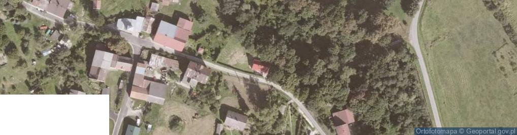 Zdjęcie satelitarne Stary Waliszów ul.