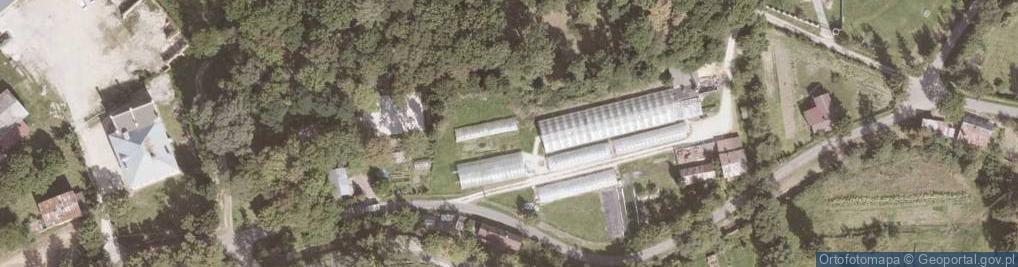 Zdjęcie satelitarne Stary Waliszów ul.