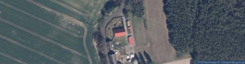 Zdjęcie satelitarne Starzyn ul.