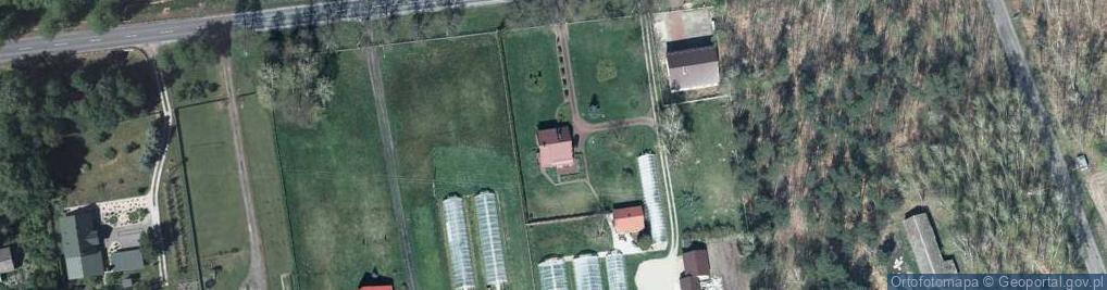 Zdjęcie satelitarne Stasinów ul.