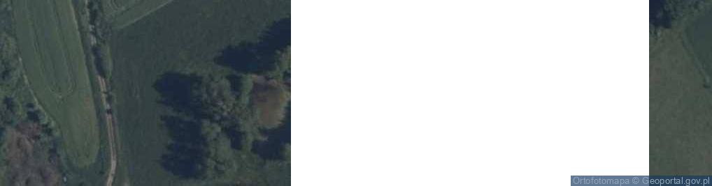 Zdjęcie satelitarne Staświny ul.