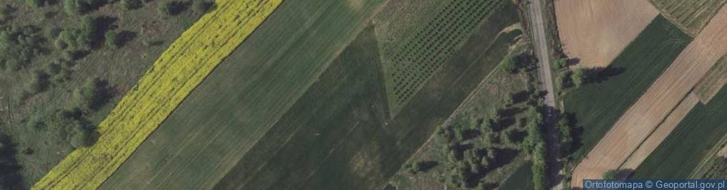 Zdjęcie satelitarne Stróża-Kolonia ul.