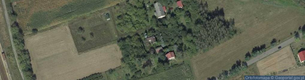 Zdjęcie satelitarne Struża-Kolonia ul.