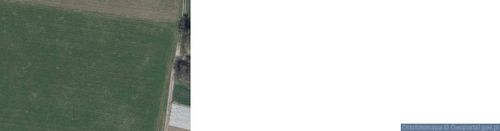 Zdjęcie satelitarne Strzelców Bytomskich ul.