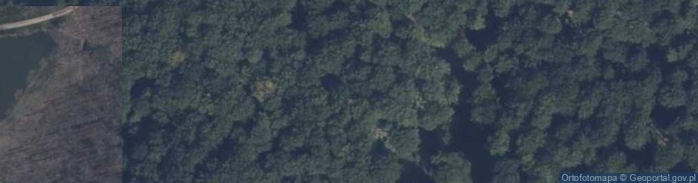 Zdjęcie satelitarne Strzelinko ul.