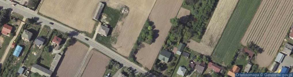 Zdjęcie satelitarne Strzeszkowice Duże ul.