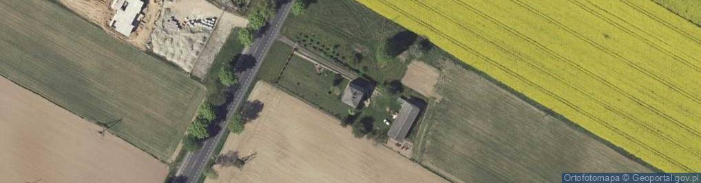 Zdjęcie satelitarne Strzeszkowice Duże ul.