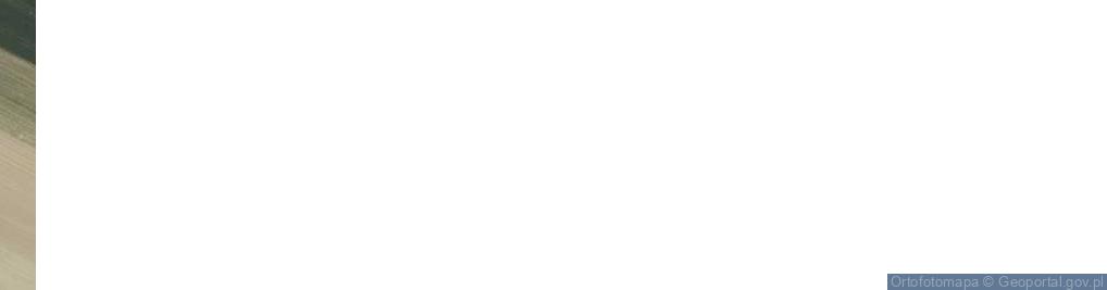 Zdjęcie satelitarne Strzeszkowice Duże ul.