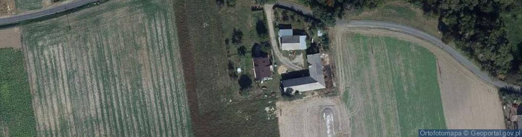 Zdjęcie satelitarne Strzygi ul.