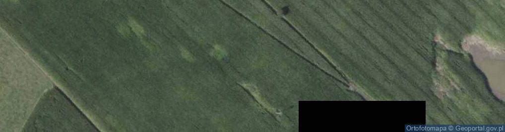 Zdjęcie satelitarne Sudawskie ul.