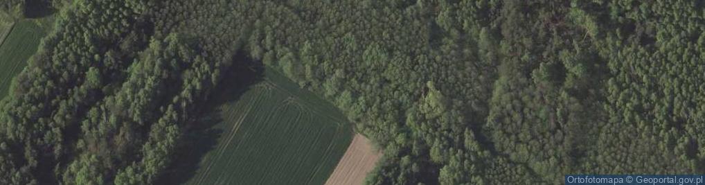 Zdjęcie satelitarne Sulów ul.