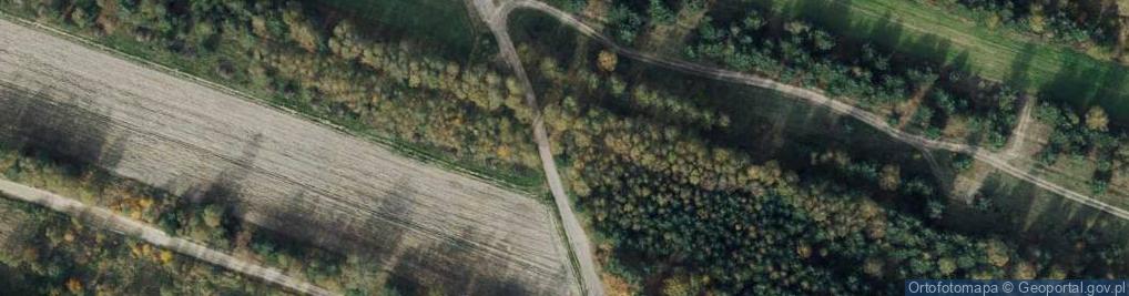 Zdjęcie satelitarne św. Kaspra del Bufalo ul.